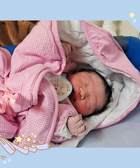 �����������ˡ���ţ����ǰ��������