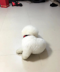 ������Ѱ������ɫ����