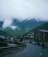 �����滨�Ĵ�ׯ[��ɽ]��ǧ��Ŵ����滨������ã�