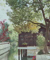 ��������ɣ�������������Ļ��Ų��Ĺ������������