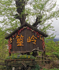 �������ռ�No.52���������Ľ�������~��Դ����