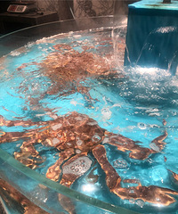 ���۸��᡿�������˽�