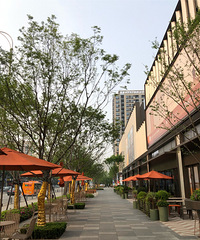 ·�������Ľ��������