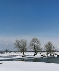 �½��и��г̣���Ҫ����ȥ���¶�����Ұ�ӻ�