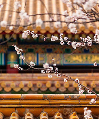 һ�����죬�ʹ��ͱ�����Ͻ��ǣ�