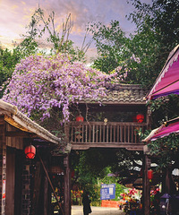 �����Թ��ƻᡱˢ���󣬻����ⷢ�������Ǹ���ʳ֮����