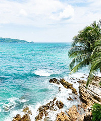 ̩��������οͿ���6��Ŀ�ĵأ�������ӭ��ת����