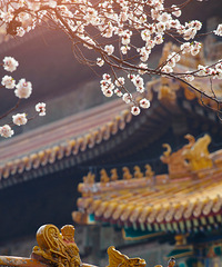 һ�����죬�ʹ��ͱ�����Ͻ��ǣ�