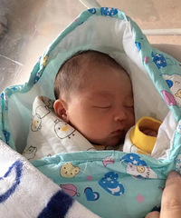 �����������ˡ� ���������е�ģ��