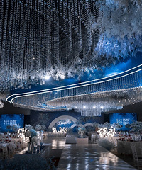 �����졿���á��Ƶ꡿����һƷ