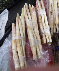 ����ʲô«��Ҫ��ʮ���һ��