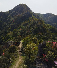 �������ӣ���������ʱ