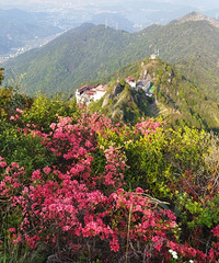 �������ӣ���������ʱ