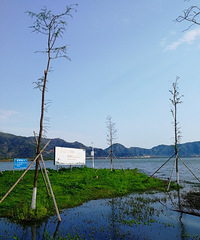 [������]����ʱ�ڣ�������ˮ��������