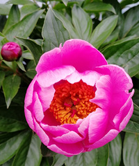 [������]����һ�����£���ҩ�����ڿ���