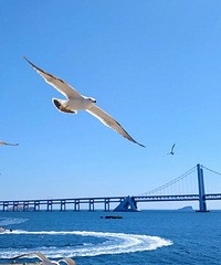 �Ϸ�ӣ����Ļ�������ӣ�����Ÿտ�ʼ�������ű�����ͬ���