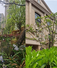 �ڿ���Է��סһ��룬���ܺܺ�