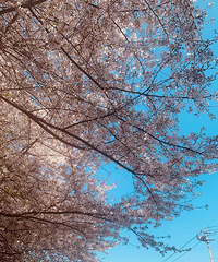 ��л19¥������10.25��飬Ҳף��������ҵ��Լ�����һ��