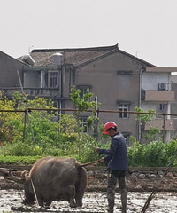 ���ϵİ���ܶ���û����