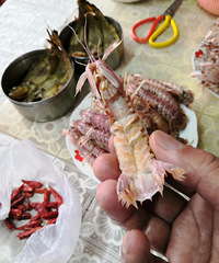 �������ڼ䣬ƤƤϺ��ƽʱ�۸����˽�һ��