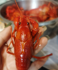 ơ��С��Ϻ����������ͷ��ܺóԣ����ʺ���