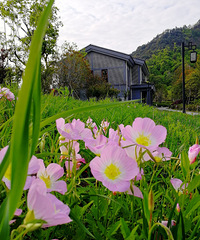 [������]�ʻ���ص�·�Ź�԰�����������泩