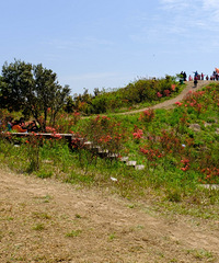 ̫��ɽӳɽ��ɹͼ����������ɽ�¿����ǿ�����