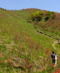 ̫��ɽӳɽ��ɹͼ����������ɽ�¿����ǿ�����