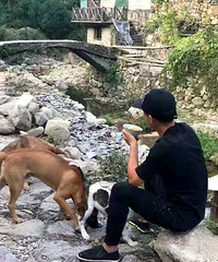 ����ľ�ͷ�����룬᮳µľ�ͷ�ǡ������