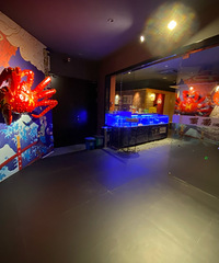 ����������̫һ���ˣ���ţ�������Ǹ���