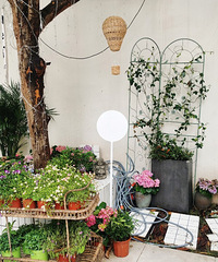 ���շݸ���ֵ̽�꣬���������շ���