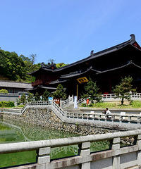 �㽭����С��կ֮�Ƶ����Ӵ�Ͽ��