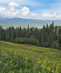 ��һǰ�ؿ�������ܿ�3���˳����������޵�С�ھ���