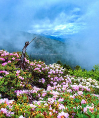 ��һǰ�ؿ�������ܿ�3���˳����������޵�С�ھ���