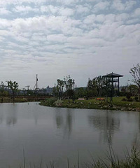 �������������桿��̨��ѧԺ�ԱߵĽ���ʪ��