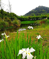 [������]����������ɽ������԰