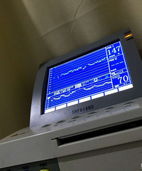 �����������ˡ��ְ�ͬ��ͬ�յ�С��гɹ���½