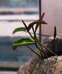 ��   ����