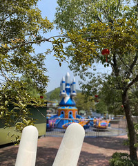 ������Լ����Ƽ�������ׯ԰�������������ĳ�����Ч��