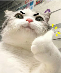 �߻�ߵ��һŵ�һƥ��90��������ߵ����������׵�С���