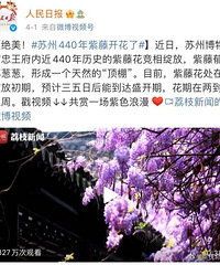 400�����ٻ�ǽ�������ѣ���������ݣ�����̫���㲻֪���ľ�ϲ