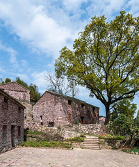 �㽭̨�����������Ŵ塰���ޡ��ˣ�180�������ǿ���