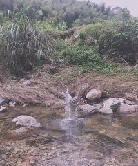 û��֪���������ׯ���տ���ϴ�����飡