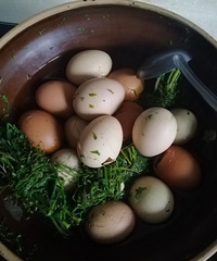 ���³�������˵����Ե�����������