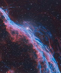 ȫ��������֯Ů���·������Ǵ�������������