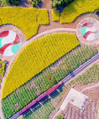 ��ʵ�桶�������ɿ��������������϶�һ�޶��ɿ���С��