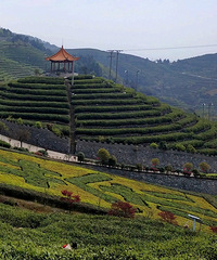 ����Ħ���ܱ��У�7����ɽ��������ɽ