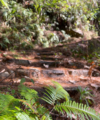 ��ɽ���ƹŴ��䣬һ������ġ��Ϸ�����������