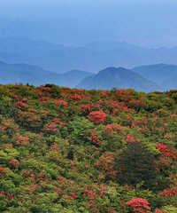 �׾���ʫ��ġ�������ʩ����ûɽͷ��8��������ƫ���ĵط�