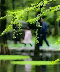 ��һȥ�ģ�����·�����ʺϴ�����̤���ĵط�